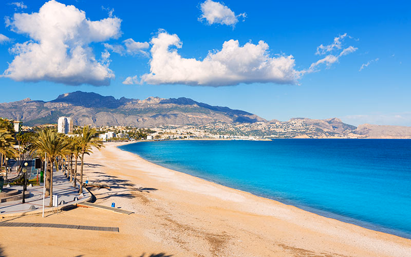 Миль Пальмерас