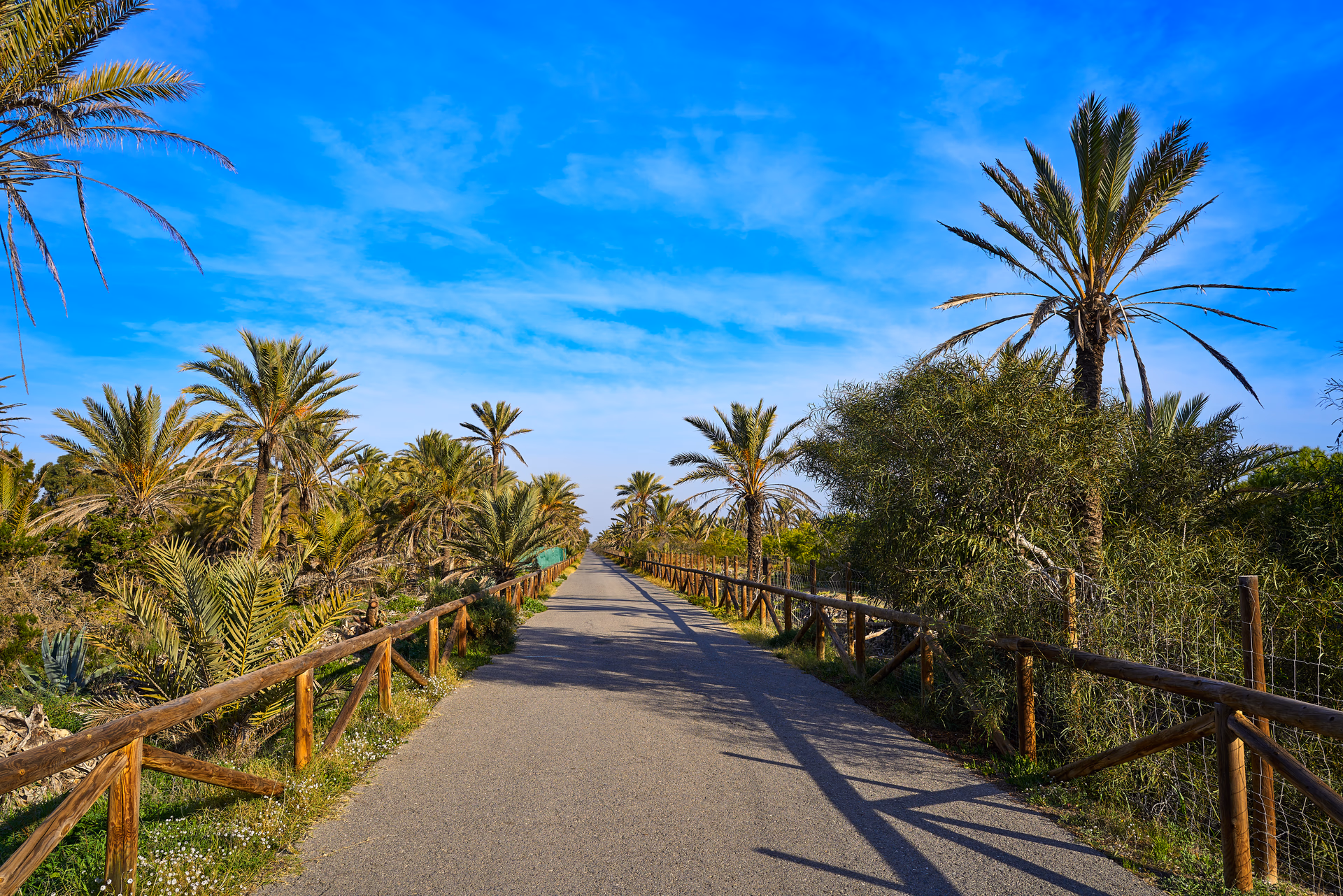 Гвардамар-дель-Сегура