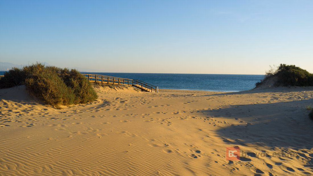 Apartamento Cerca del Mar de 2 Dormitorios en Arenales del Sol - 13