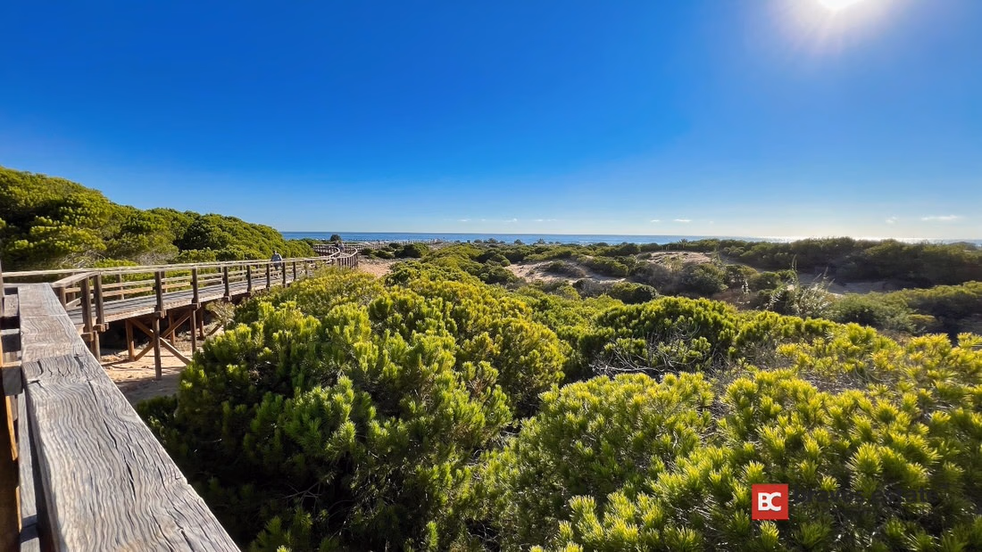 Beachside 2-Bedroom Apartment in Arenales del Sol - 16